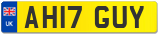 AH17 GUY