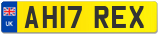 AH17 REX