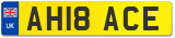 AH18 ACE