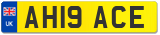 AH19 ACE