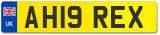 AH19 REX