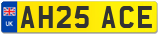 AH25 ACE