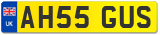 AH55 GUS