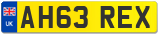 AH63 REX