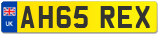 AH65 REX