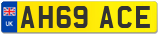 AH69 ACE