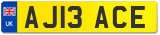 AJ13 ACE