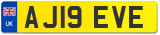 AJ19 EVE