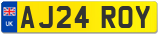 AJ24 ROY