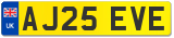 AJ25 EVE