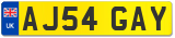 AJ54 GAY