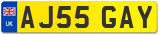 AJ55 GAY