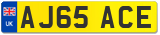 AJ65 ACE
