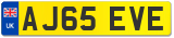 AJ65 EVE