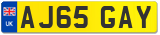 AJ65 GAY