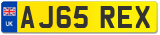 AJ65 REX