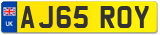 AJ65 ROY