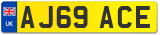 AJ69 ACE