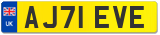 AJ71 EVE