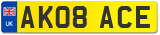 AK08 ACE