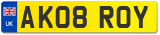 AK08 ROY