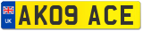 AK09 ACE