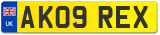 AK09 REX