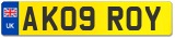 AK09 ROY