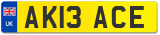 AK13 ACE