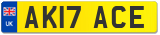AK17 ACE