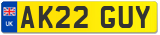 AK22 GUY