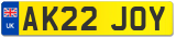 AK22 JOY