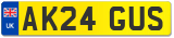 AK24 GUS