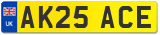 AK25 ACE