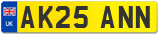 AK25 ANN