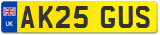 AK25 GUS