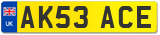 AK53 ACE