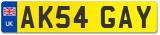 AK54 GAY