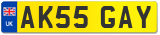 AK55 GAY