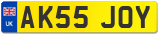 AK55 JOY