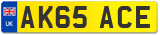 AK65 ACE