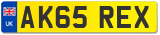 AK65 REX