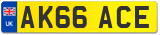 AK66 ACE