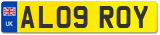 AL09 ROY