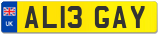 AL13 GAY