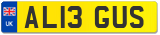 AL13 GUS