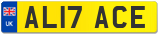 AL17 ACE