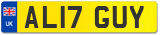 AL17 GUY