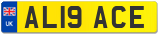 AL19 ACE