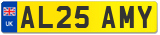 AL25 AMY